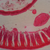 Дождевой червь (поперечный срез) под 
микроскопом
