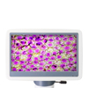 Микроскоп цифровой Levenhuk D85L LCD