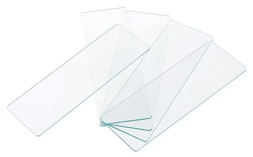 Стекла предметные Levenhuk Discovery 50,  1