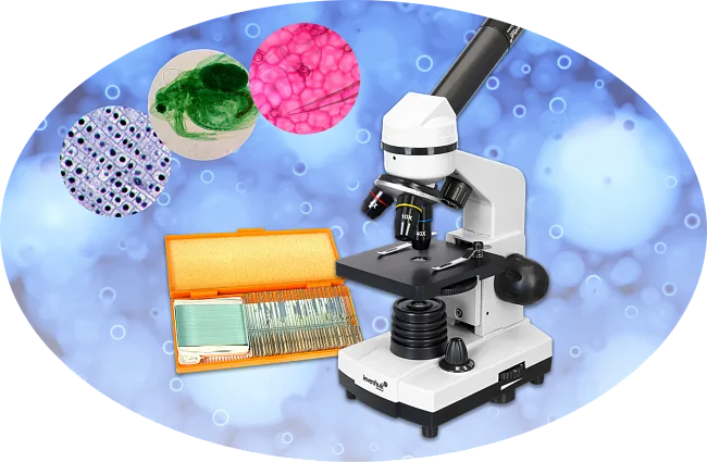 Подарок к цифровому микроскопу Levenhuk Rainbow 