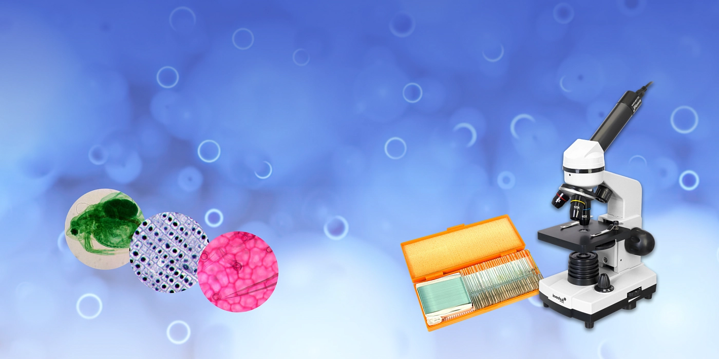 Набор готовых микропрепаратов в подарок к микроскопу