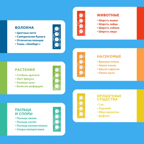 Микроскоп Levenhuk Discovery Micro с книгой,  19