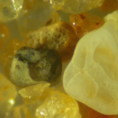 Микроскоп стереоскопический MAGUS Stereo 9T,  21