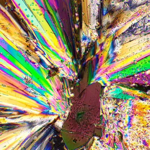 Устройство простой поляризации MAGUS SPD2,  2