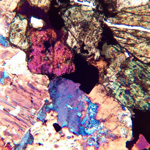 Микроскоп поляризационный цифровой MAGUS Pol D850,  24