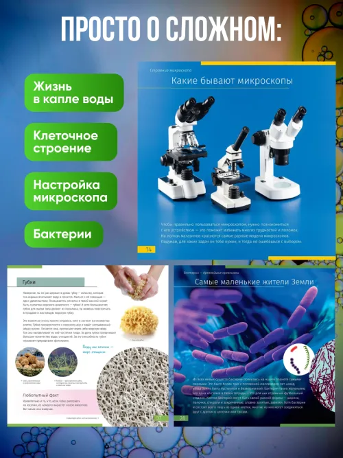 Книга знаний «Невидимый мир»,  10