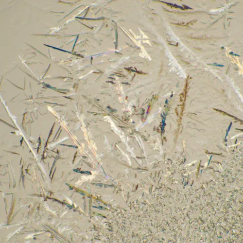 Микроскоп биологический MAGUS Bio 230T,  22