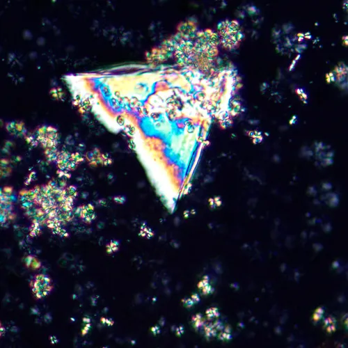 Микроскоп поляризационный MAGUS Pol 850,  21