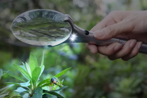 Лупа Levenhuk Zeno 50, 2,2/4,4x, 88/21 мм, 2 LED,  7