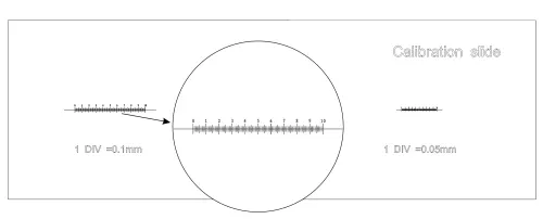 Слайд калибровочный MAGUS CS3 (0,01/0,05/0,1),  4