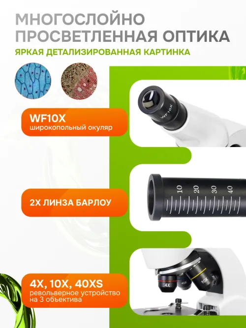 Микроскоп Levenhuk Rainbow 50L,  22