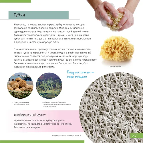 Книга знаний в 2 томах. «Космос. Микромир»,  7