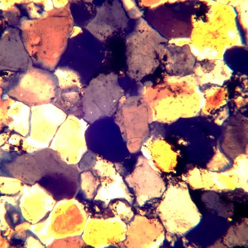 Микроскоп поляризационный MAGUS Pol 890,  26