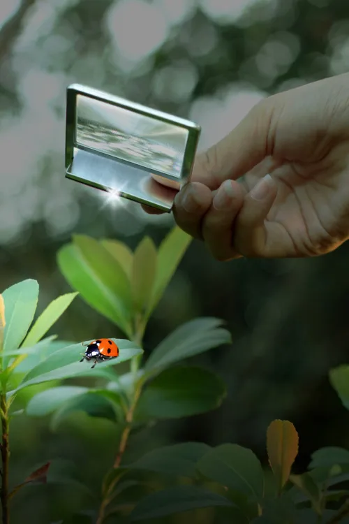 Линза Френеля Levenhuk Zeno 90, 2,5x, 48x45 мм, 1 LED, металл,  10