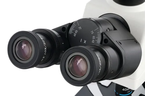 Микроскоп цифровой Levenhuk MED D45T, тринокулярный,  8