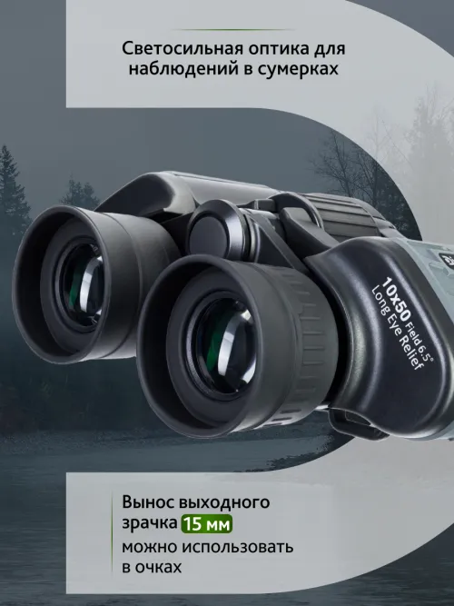 Бинокль Levenhuk Discovery Flint 10x50,  18