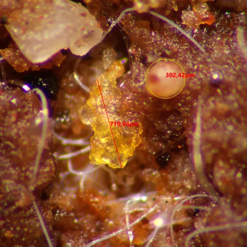 Микроскоп стереоскопический MAGUS Stereo A10,  15