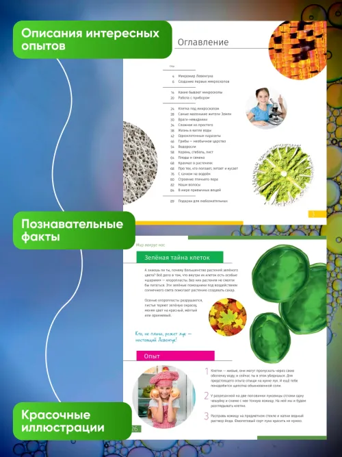 Книга знаний «Невидимый мир»,  9