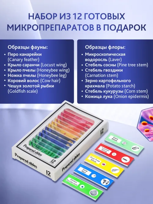 Микроскоп цифровой Levenhuk Rainbow DM700 LCD,  20