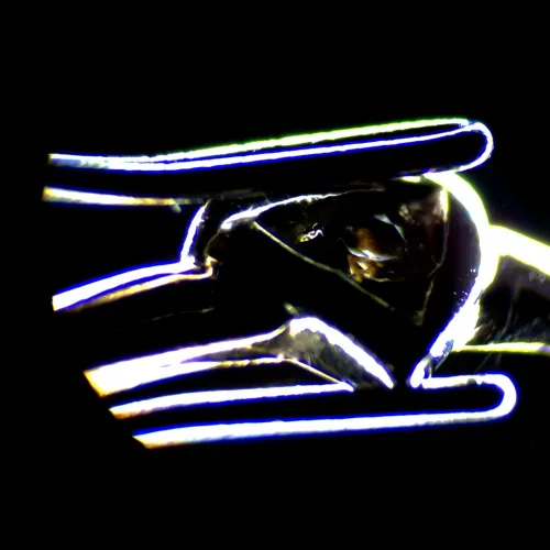 Микроскоп стереоскопический MAGUS Stereo 7T,  18