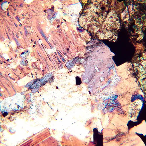 Микроскоп поляризационный MAGUS Pol 800,  16