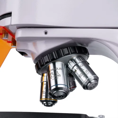 Микроскоп люминесцентный цифровой MAGUS Lum D400,  13