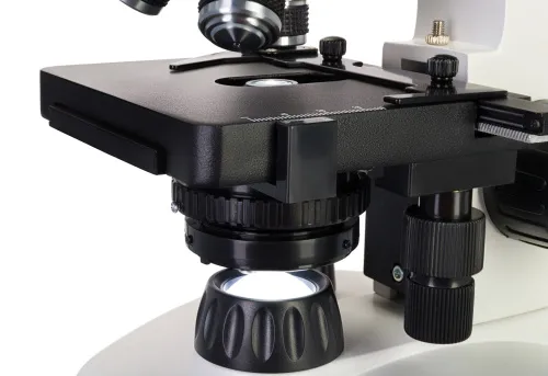 Микроскоп Levenhuk Discovery Atto Polar с книгой,  11