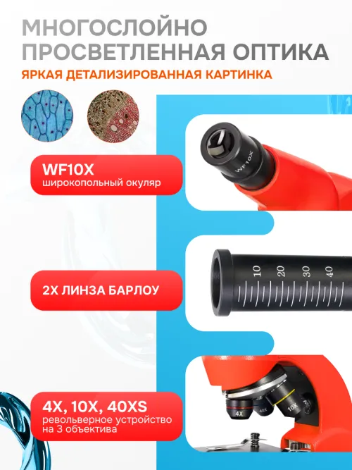 Микроскоп Levenhuk Rainbow 50L,  4