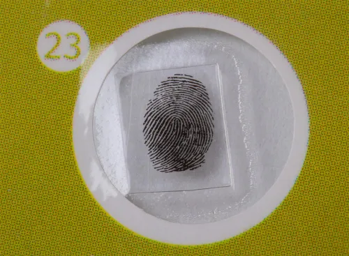 Набор микропрепаратов Levenhuk LabZZ P12, растения,  7