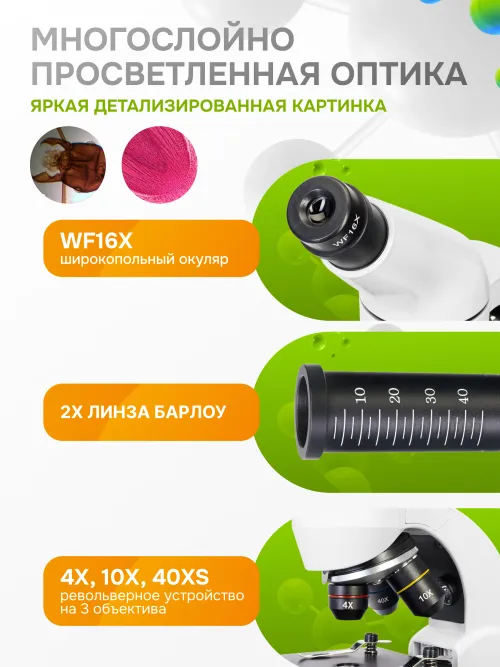 Микроскоп Levenhuk Rainbow 50L PLUS,  30