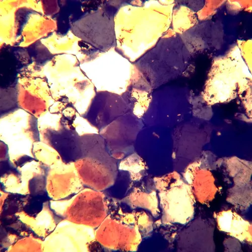 Микроскоп поляризационный цифровой MAGUS Pol D850,  26