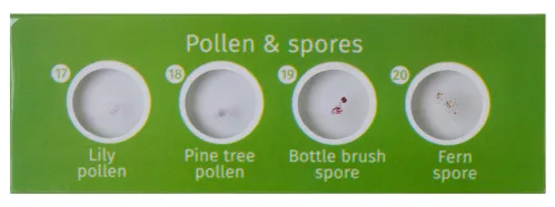 Набор микропрепаратов Levenhuk LabZZ P12, растения,  3