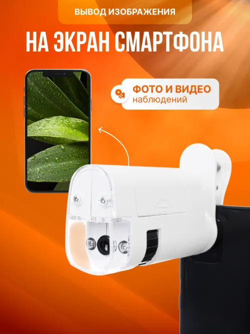 Микроскоп карманный для проверки денег Levenhuk Zeno Cash ZC16,  12