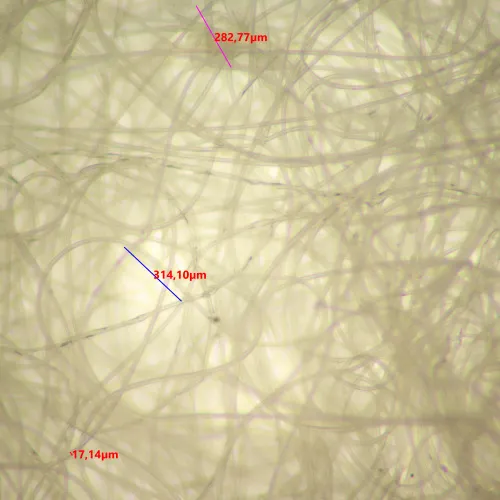 Микроскоп стереоскопический MAGUS Stereo 9T,  20