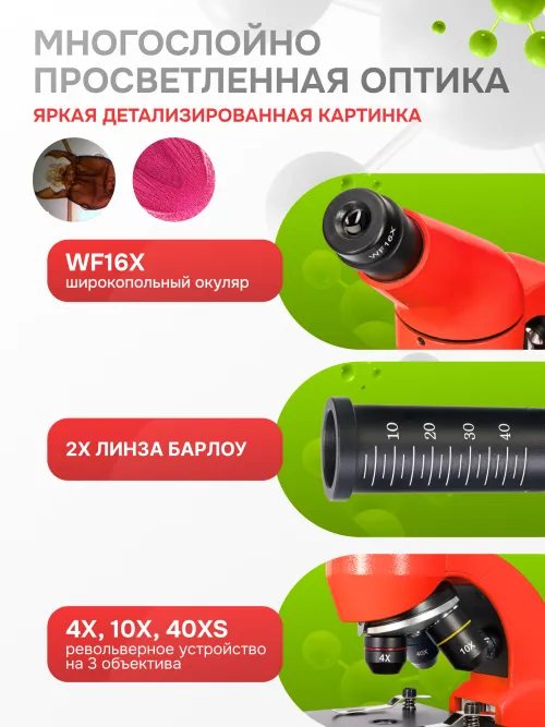 Микроскоп Levenhuk Rainbow 50L PLUS,  30
