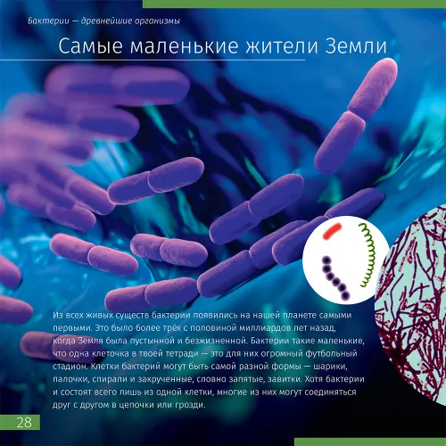 Книга знаний в 2 томах. «Космос. Микромир»,  5