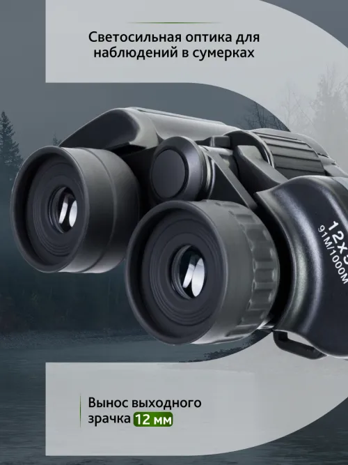 Бинокль Levenhuk Discovery Flint 12x50,  18