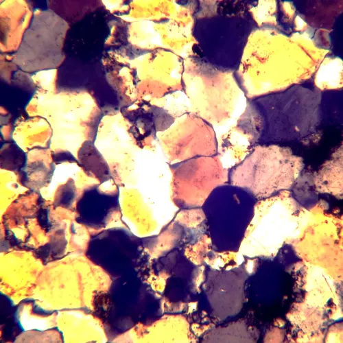 Микроскоп поляризационный цифровой MAGUS Pol D800 LCD,  24