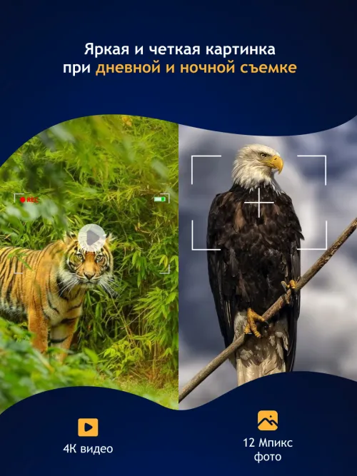 Бинокль цифровой ночного видения Levenhuk Halo 13X Helmet, с креплением на голову,  16