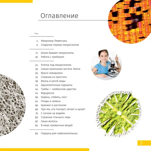 Микроскоп Levenhuk Discovery Nano Terra с книгой,  6