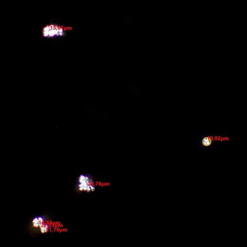 Устройство простой поляризации MAGUS SPD3,  8