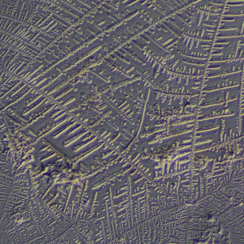 Устройство для работы методом дифференциально-интерференционного контраста (ДИК) MAGUS DIC290,  10