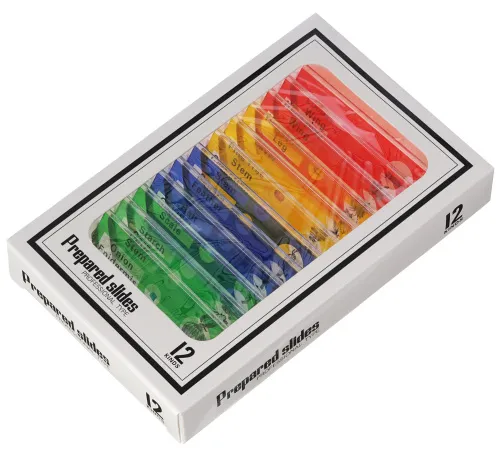 Микроскоп цифровой Levenhuk Rainbow DM500 LCD,  12
