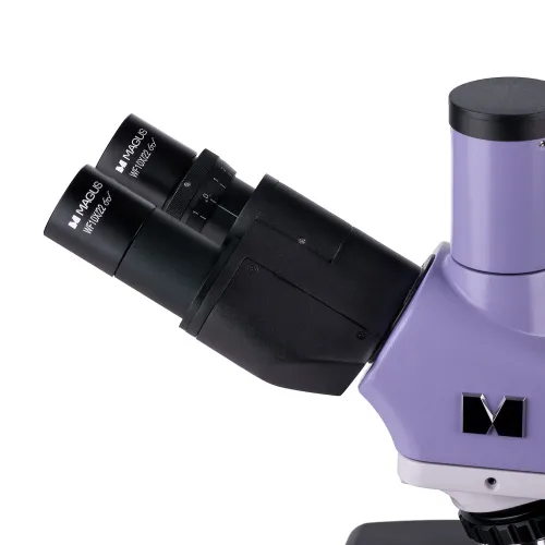 Микроскоп биологический MAGUS Bio 250TL,  21