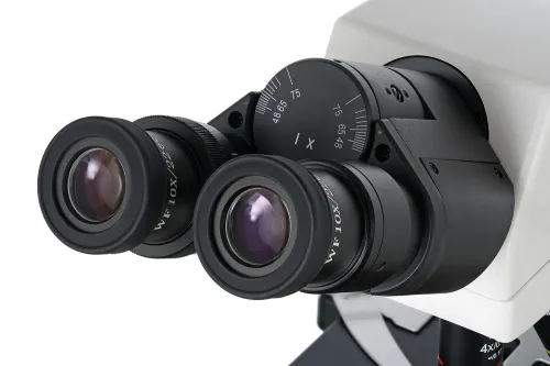 Микроскоп Levenhuk MED 45B, бинокулярный,  7