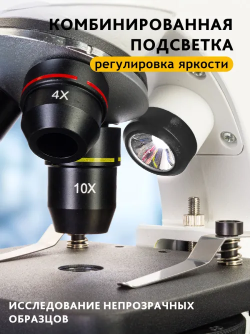 Микроскоп цифровой Levenhuk Discovery Pico Polar с книгой,  18