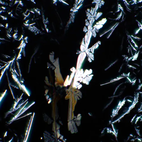 Устройство простой поляризации MAGUS SPD2,  5