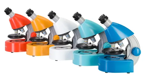 Микроскоп Levenhuk Discovery Micro с книгой,  3