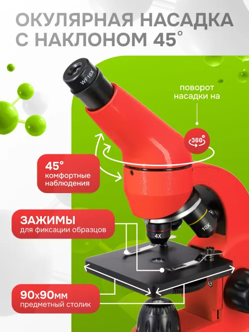 Микроскоп Levenhuk Rainbow 50L PLUS,  29