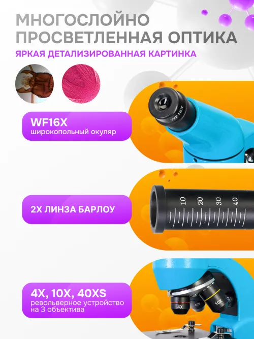 Микроскоп Levenhuk Rainbow 50L PLUS,  30